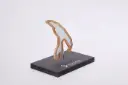 Iconic - Wooden Trophy